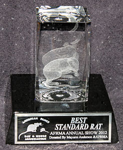 Best Standard Rat