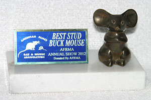 Best Stud Buck Mouse