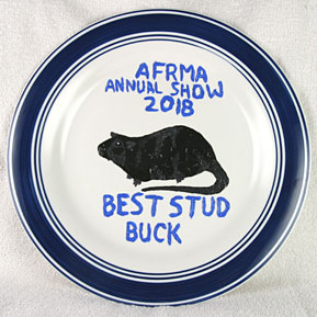 Best Stud Buck Rat 2018