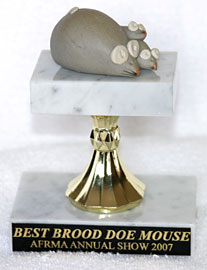 Best Brood Doe Mouse