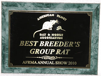 Best Breeder’s Group Rat