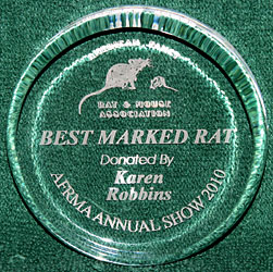 Best Marked In Show Rat