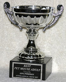 Best Adult Pet Mouse