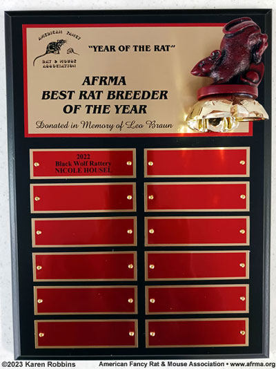 The Best Rat Breeder Award 2022