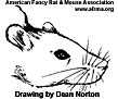 Rat face drawing