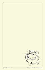 Cute Rat Notepaper