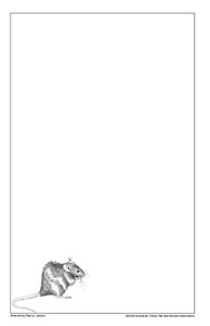 Frizzie Satin Notepaper