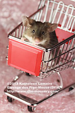 Shopping Mouse